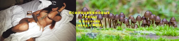твердый Горнозаводск