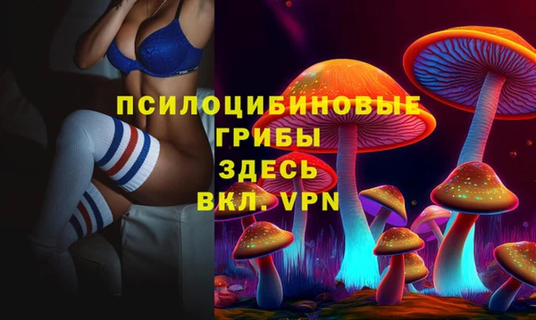 соль ск Вяземский