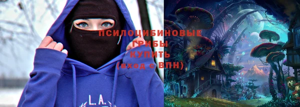 соль ск Вяземский