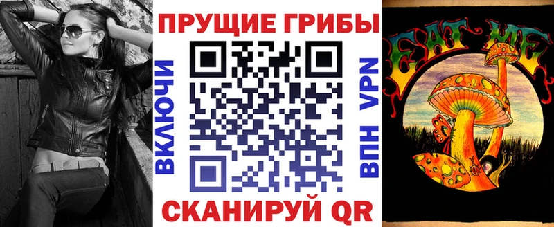 Псилоцибиновые грибы мухоморы  Купить закладки  Будённовск 