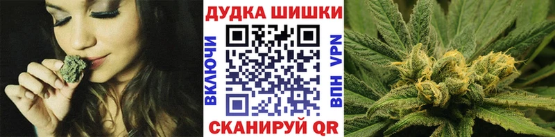 Конопля сатива  Купить  Будённовск 